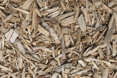 biomass boilers Gurnard